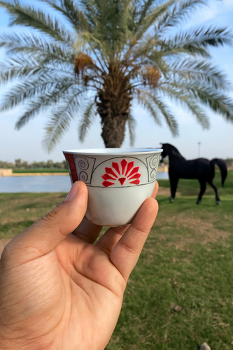 فنجان قهوه طرح گل قرمز ۶ تایی | خرید سرویس فنجان شیک با بهترین قیمت